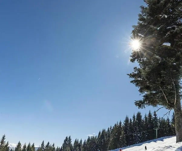 Leitnerhof Alloggio per agriturismo Niederau