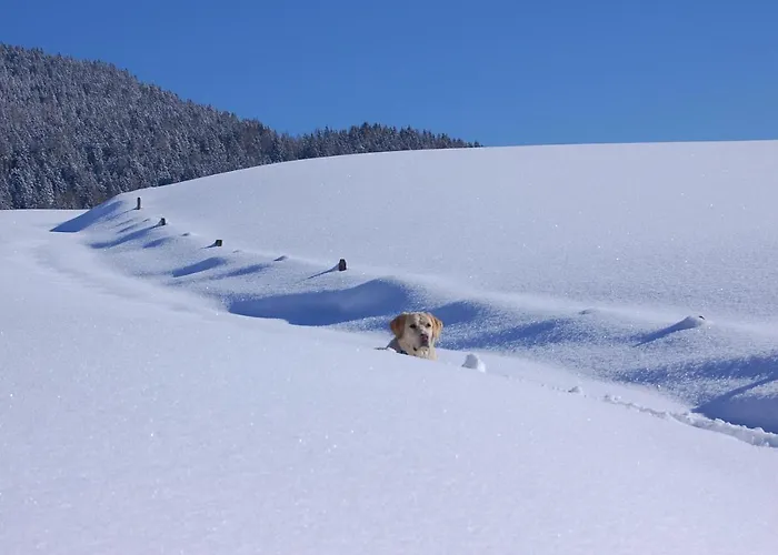 Leitnerhof Alloggio per agriturismo