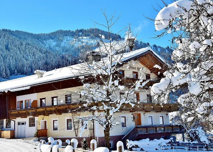 Leitnerhof * Niederau