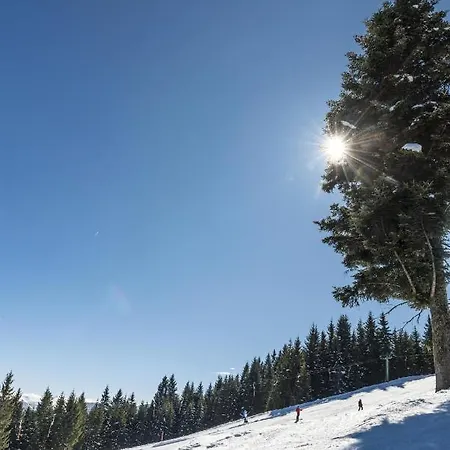 Leitnerhof Çiftlik konaklama Niederau