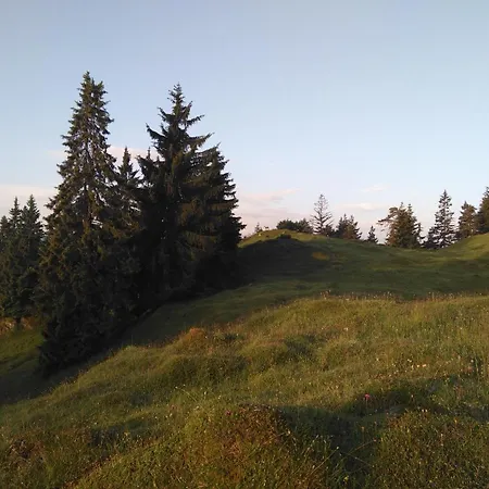 Leitnerhof *