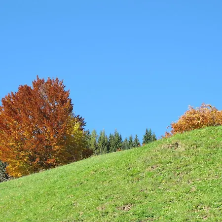Leitnerhof Çiftlik konaklama *