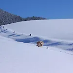 Leitnerhof 팜스테이
