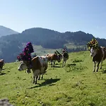 Leitnerhof 니데라우