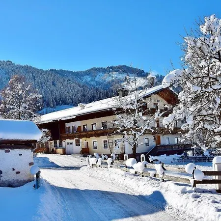 农家乐 莱特纳霍夫公寓 涅德劳