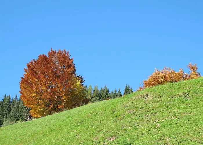 莱特纳霍夫公寓 农家乐 *
